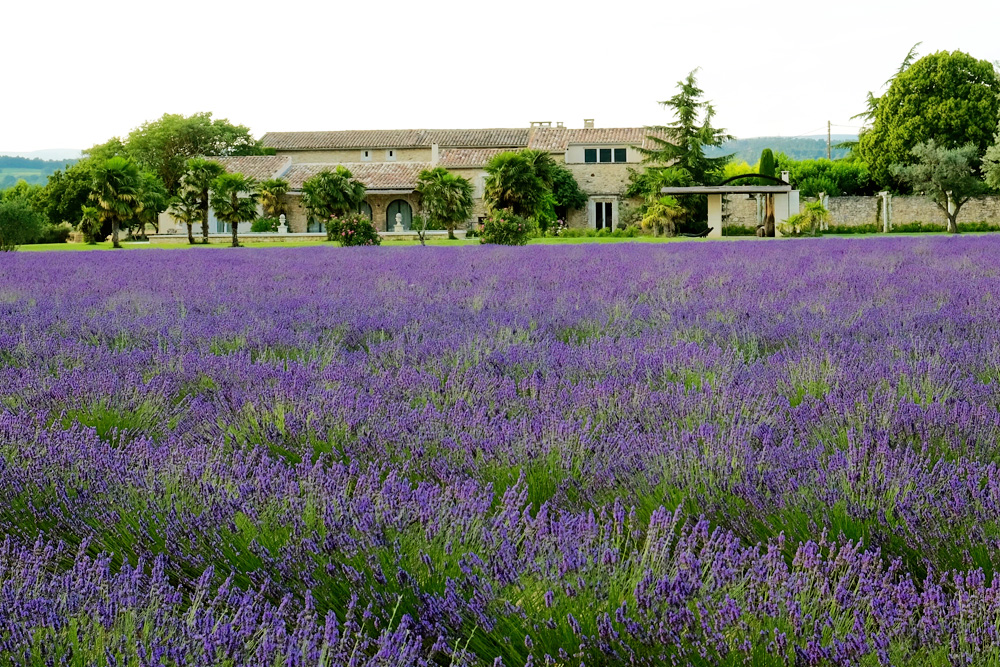 mas des sens nice2stay luxury holiday home